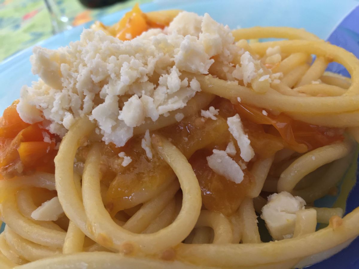 Spaghettone al pomodorino giallo e conciato romano…La Ricerca!!!